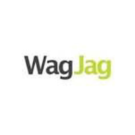 WagJag是一家每日团购网站，该网站提供各种降价商品。公司在2009年底开始经营业务，其主要办公室位于加拿大多伦多。该公司由多伦多的公司TORSTAR Inc所拥有。TORSTAR Inc是多伦多星报和Metroland community报纸的拥有者WagJag还经营提供旅游优惠服务的Jaunt.ca网站。截至2012年7月，它没有国际业务。它提供多种产品和服务，范围包括周末需要照顾的宠物狗到篮球门票。
