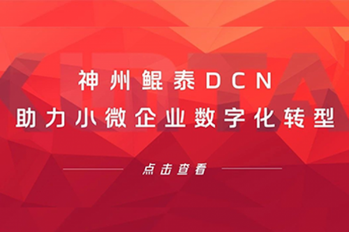九游(ninegame)官网DCN助力小微企业数字化转型